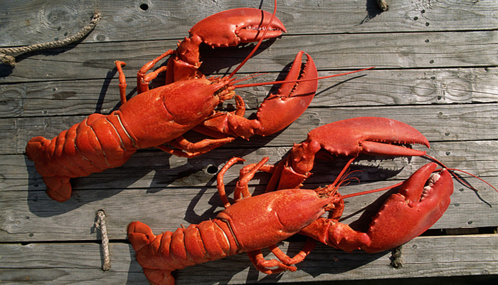 Lobster Thermidor